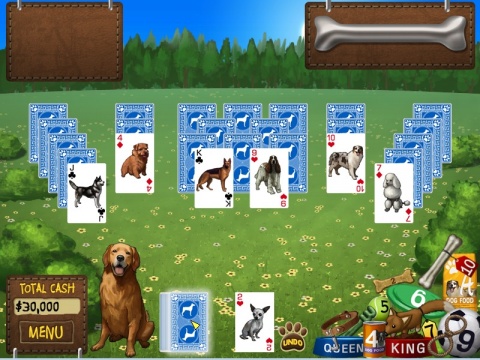 Best in Show Solitaire