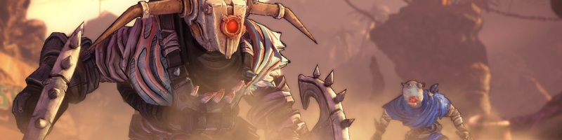 Borderlands 2 Captain Scarlett and her Pirate Booty Banner