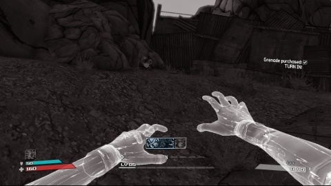 Borderlands Siren Phasewalk