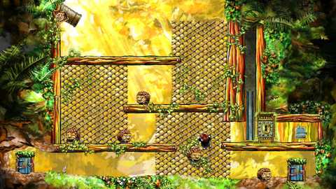 Braid Chain Fence Tim Climb Goomba Key