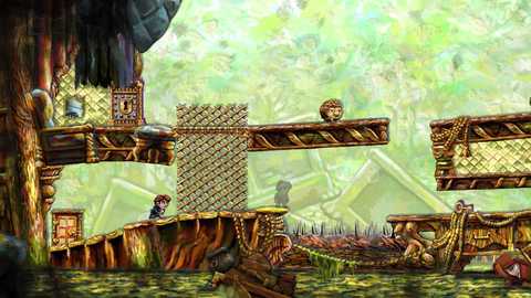 Braid Shadow Tim Goomba