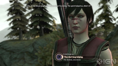 Dragon age 2 Female Hawke Jester Dialog