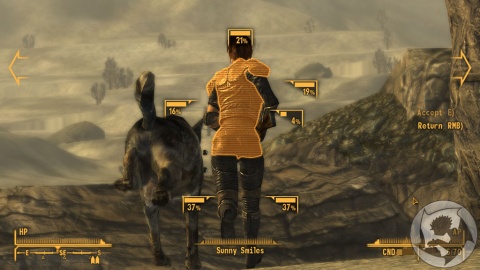 Fallout new Vegas Sunny Smiles Vats