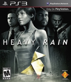 Heavy Rain Cover