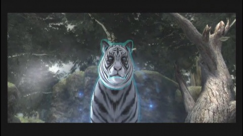 Last Story Tiger