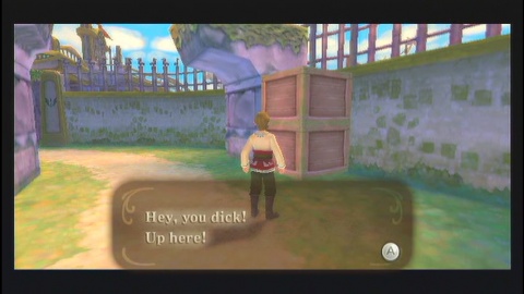 Legend of Zelda Skyward Sword hey