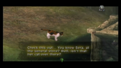 Legend of Zelda cat Fish