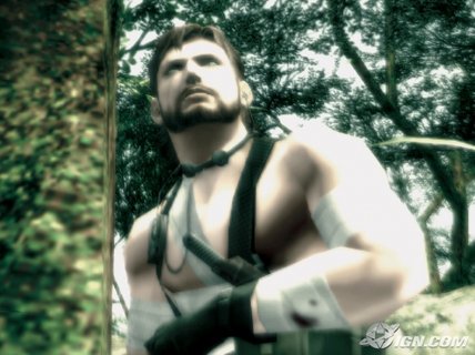 Metal Gear Solid 3 Snake Injured