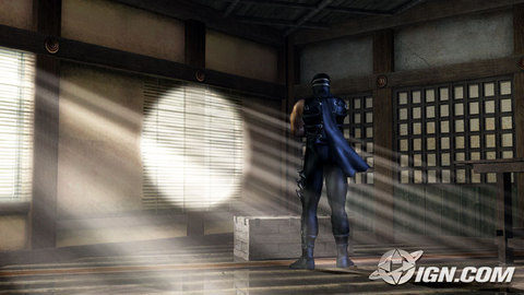 Ninja Gaiden Xbox Ryu Shadows
