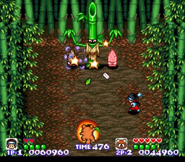 Pocky And Rocky Green Leaf Tube Boss