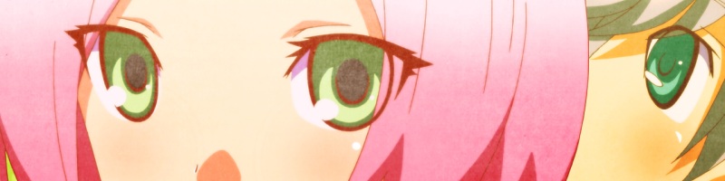 Rune Factory Tides of Destiny Banner