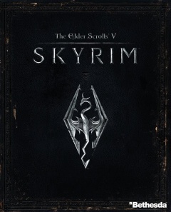 Skyrim Cover