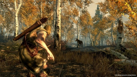 Skyrim Forest Deer Hunting