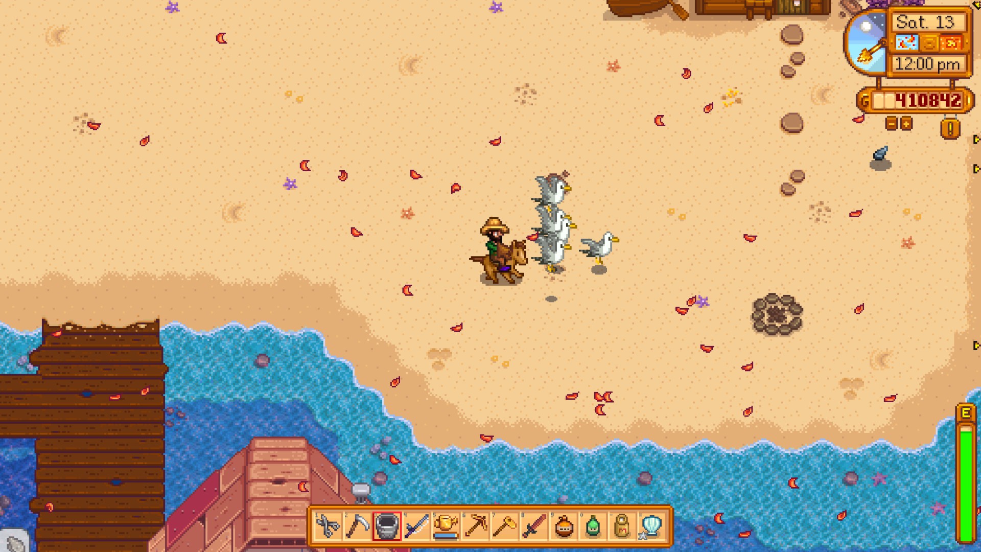 stardew valley beach horse seagulls