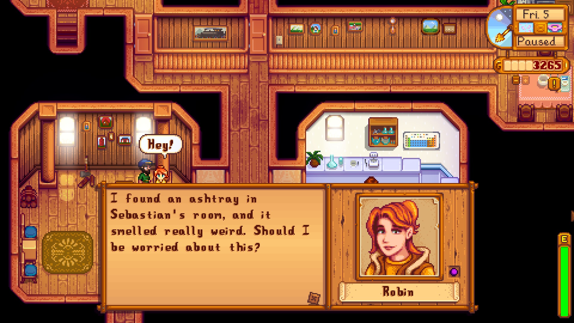 stardew valley robin sebastian ashytray