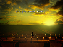 the cat Lady 5 Bridge