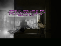 the cat Lady 7 Internet