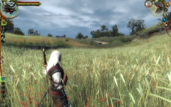 Witcher 09 Fields Scenery